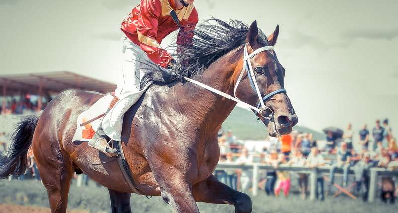 競馬