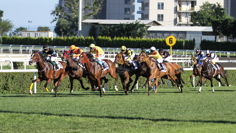 競馬
